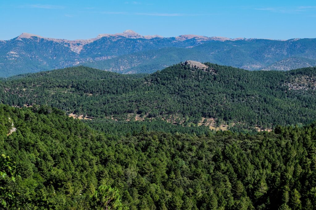 Albacete: guia para visitar la capital de la cuchilleria espanola