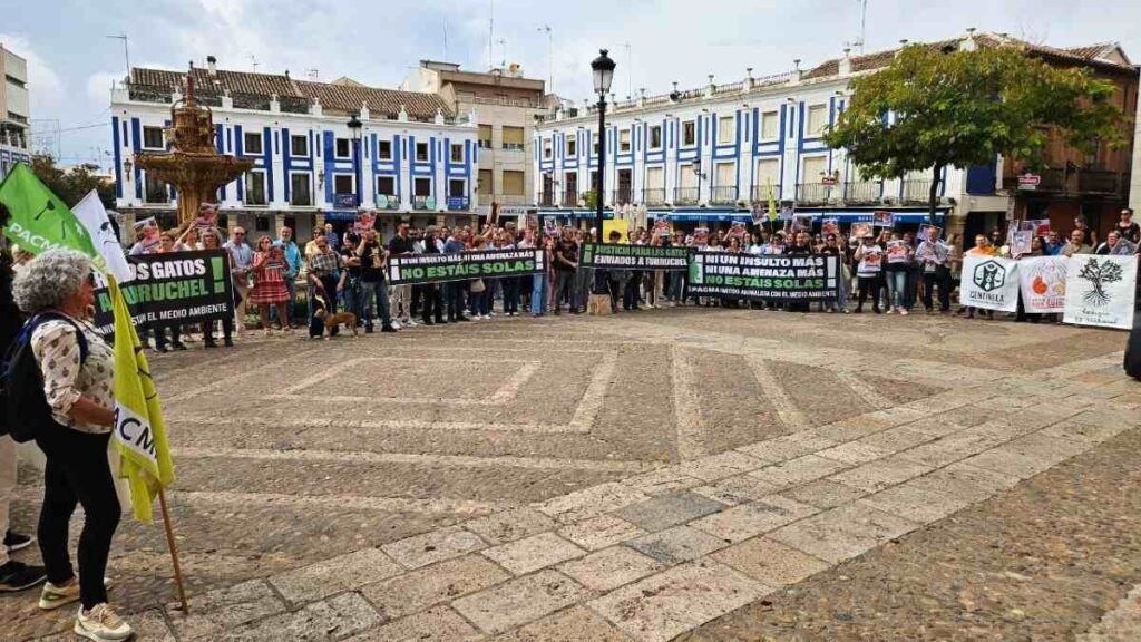 Más de 200 personas exigen en Valdepeñas medidas urgentes contra el vecino «matagatos» por maltrato animal y amenazas